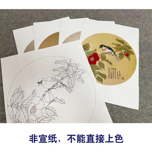 戴青池工笔画白描底稿荷花一套四幅初学者尺寸35*35厘米TD06 商品图3