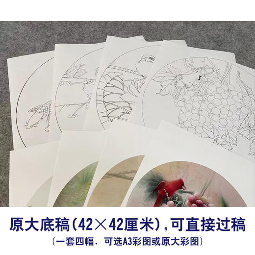 龚雪青工笔画白描底稿葡萄鲤鱼一套四张初学者尺寸42*42厘米TG03 商品图3