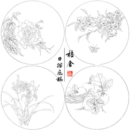张莉莉工笔画白描底稿牡丹萝卜一套四幅初学者尺寸40*40厘米TZ01 商品图1