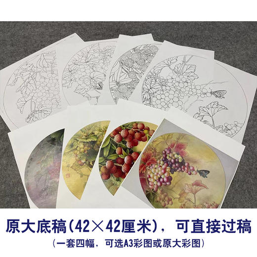 孙锡之工笔花鸟画白描底稿葡萄荔枝小品一套四幅册页初学者尺寸42×42厘米TA01 商品图2