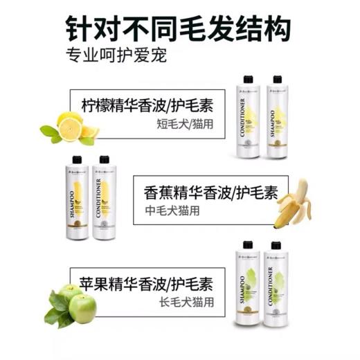 isb伊珊娜意大利进口经典宠物浴液狗狗猫咪洗澡香波护毛素沐浴 商品图2