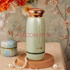 便携自热烧水杯 fagor法格烧水壶便携式电热电煮烧水杯旅行保温小型迷你304养生杯矢向 抹茶绿