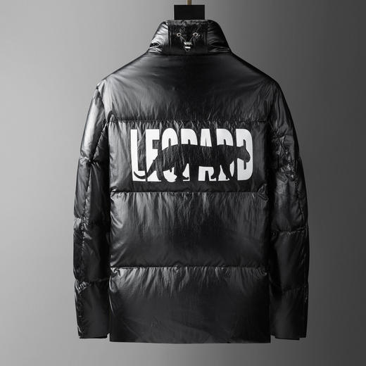 20189羽绒服 商品图1