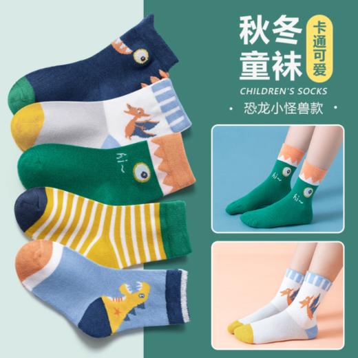 【A类品质】儿童秋冬棉袜可爱卡通两包共10双 商品图1
