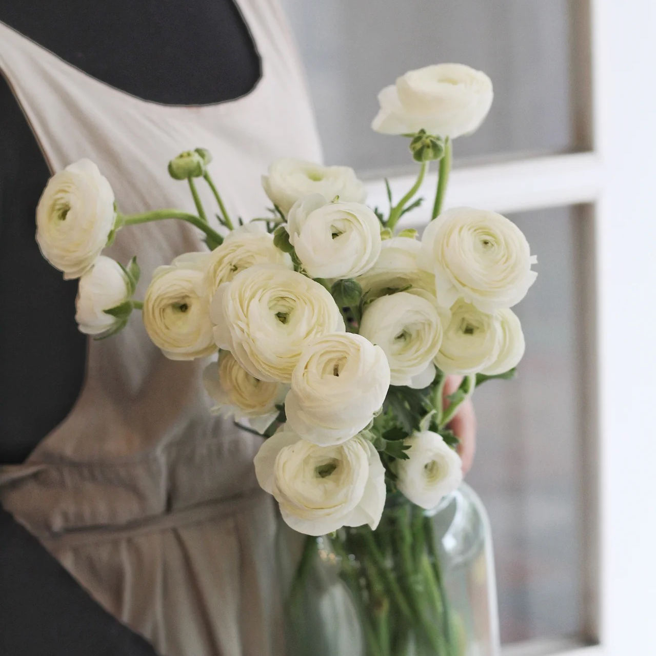 配花-洋牡丹-白色-20支