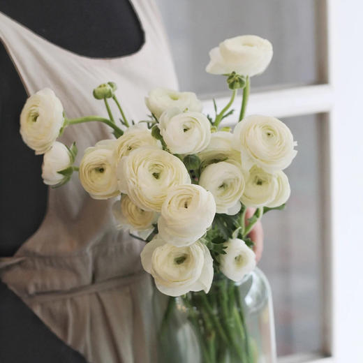配花-洋牡丹-白色-20支 商品图0