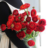 配花-洋牡丹-红色-18-20支 商品缩略图0