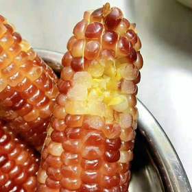 【非转基因无添加】抚顺新宾农家紫香糯玉米无防腐剂添加剂等化学元素