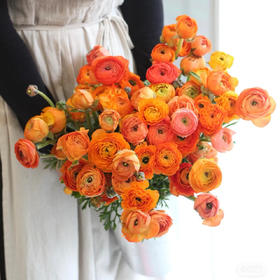 配花-洋牡丹-橙色-20枝