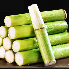 【陶山甘蔗• 顺丰发货】正宗陶山甘蔗  现砍现发 传统种植  甘甜多汁  脆爽清香  5斤装