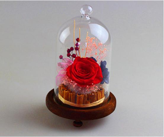 玻璃罩玫瑰花画法图片