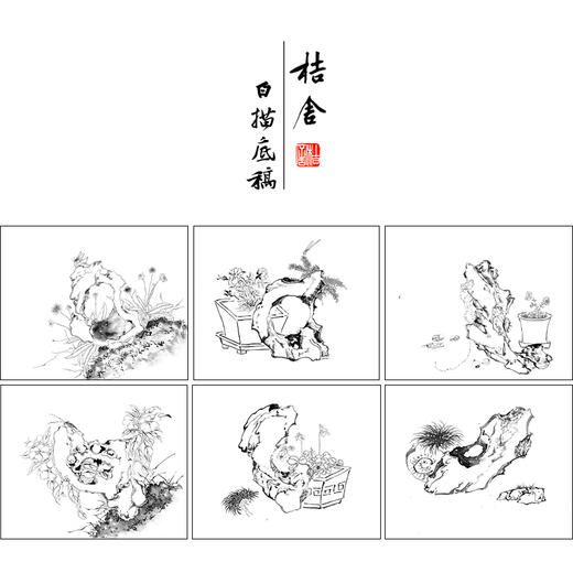 居廉工笔花鸟画白描底稿花卉奇石册小品一套十二幅册页尺寸30*36厘米MT13 商品图1