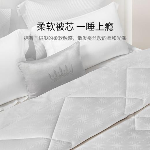 罗卡芙舒适保暖纤维纳格尼大豆纤维被/春秋被（限富临店自提） 商品图2