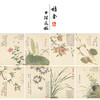 项圣谟工笔花鸟画白描底稿花卉十开图册小品一套十幅册页尺寸33*43厘米MT06 商品缩略图0