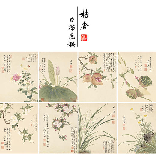 项圣谟工笔花鸟画白描底稿花卉十开图册小品一套十幅册页尺寸33*43厘米MT06 商品图0