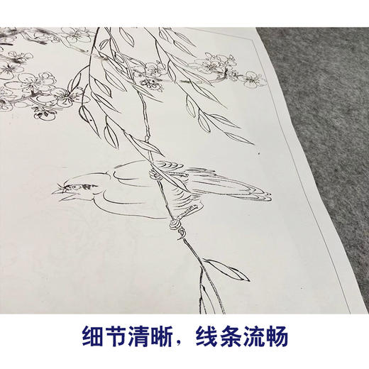 蓝瑛工笔画白描底稿花鸟图册小品一套十二幅册页尺寸30*46厘米MT04 商品图4