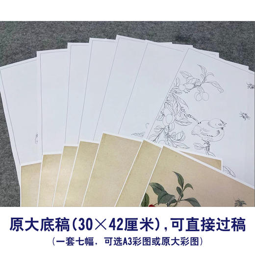 佚名工笔画白描底稿龙忻益斋花鸟画册小品一套七幅册页尺寸30*42厘米MT19 商品图2