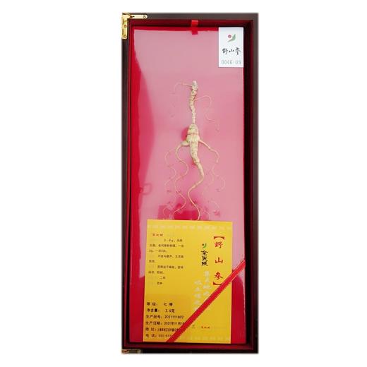 余天成 山参 （七等）买一送一 商品图1