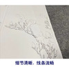 弘历工笔花鸟画白描底稿缂丝御制诗花卉册小品一套八幅册页尺寸30*50厘米MT09 商品缩略图4