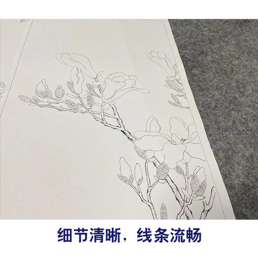 弘历工笔花鸟画白描底稿缂丝御制诗花卉册小品一套八幅册页尺寸30*50厘米MT09 商品图4