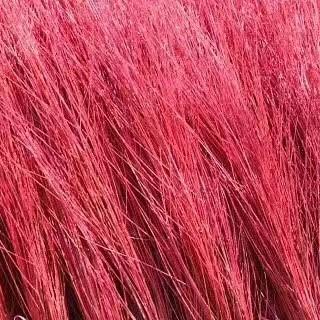 进口-伊朗红柳（80CM） 商品图2