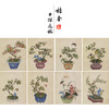 佚名工笔画白描底稿盆景花鸟草虫图小品一套三十幅册页尺寸35*43厘米MT20 商品缩略图0