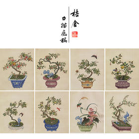 佚名工笔画白描底稿盆景花鸟草虫图小品一套三十幅册页尺寸35*43厘米MT20