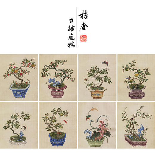 佚名工笔画白描底稿盆景花鸟草虫图小品一套三十幅册页尺寸35*43厘米MT20 商品图0