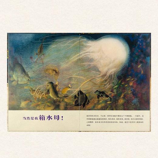 动物争霸4册套装 商品图3