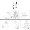 吴玖工笔花鸟画白描底稿花卉图册小品一套七幅册页初学者尺寸37*40厘米MT16 商品缩略图1
