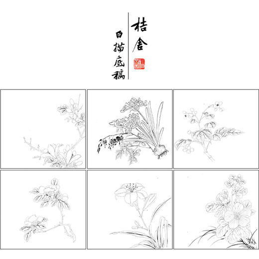 吴玖工笔花鸟画白描底稿花卉图册小品一套七幅册页初学者尺寸37*40厘米MT16 商品图1