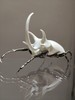 Rhinoceros beetle-matte white（犀牛甲虫-哑光白色） 商品缩略图0
