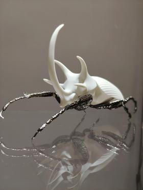 Rhinoceros beetle-matte white（犀牛甲虫-哑光白色）