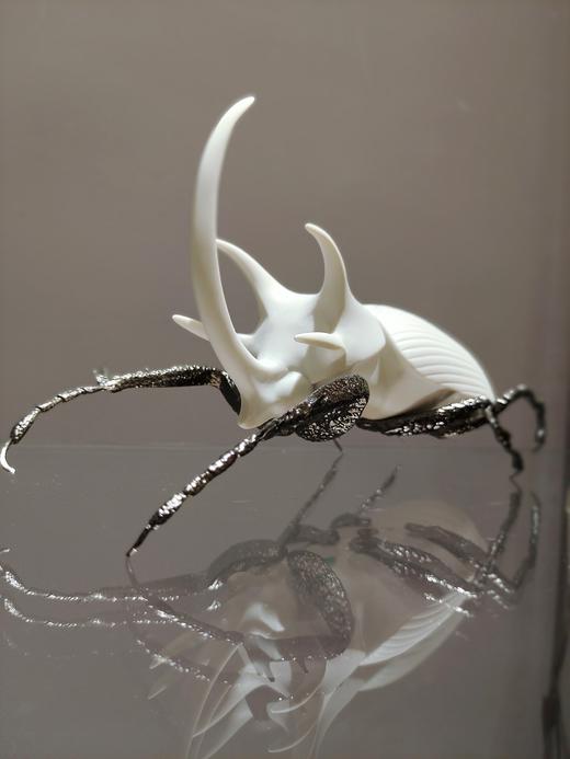 Rhinoceros beetle-matte white（犀牛甲虫-哑光白色） 商品图0
