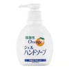 8F 日本进口弱酸性洗手液 商品缩略图0