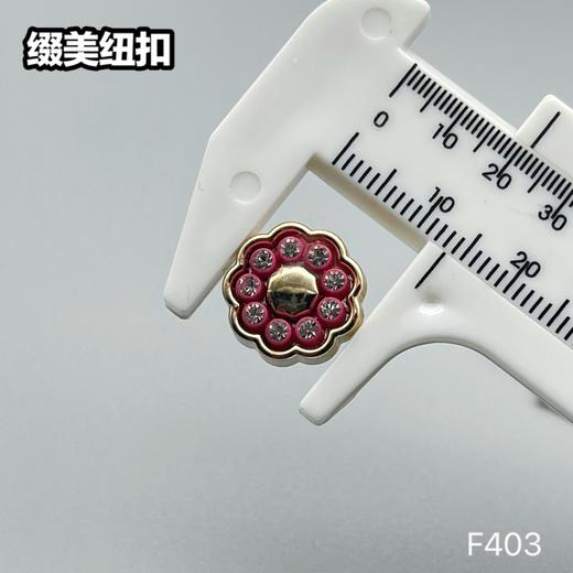 F403(整包购买) 商品图3