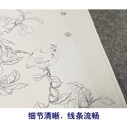 佚名工笔画白描底稿龙忻益斋花鸟画册小品一套七幅册页尺寸30*42厘米MT19 商品图4
