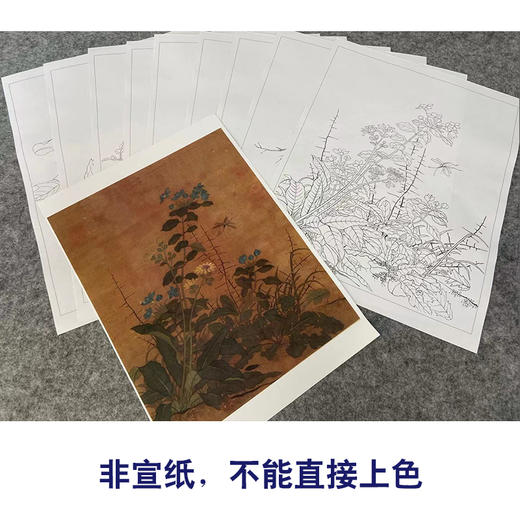 佚名工笔画白描底稿花鸟图册小品一套九幅册页初学者尺寸32*40厘米MT07 商品图3