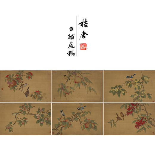 吴璋工笔花鸟画白描底稿折纸果禽图册小品一套八幅册页尺寸30*48厘米MT18 商品图0