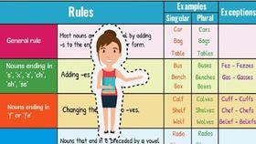 Singular and Plural Nouns