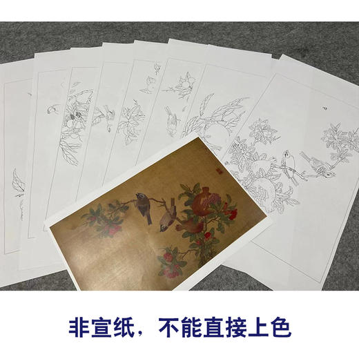 吴璋工笔花鸟画白描底稿折纸果禽图册小品一套八幅册页尺寸30*48厘米MT18 商品图4