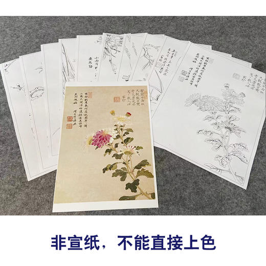 项圣谟工笔花鸟画白描底稿花卉十开图册小品一套十幅册页尺寸33*43厘米MT06 商品图2