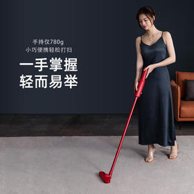 【轻便智能 无线便捷】木本手持无线吸尘器 RV-803DB 家用小型除虫䓣车载大吸力超静音