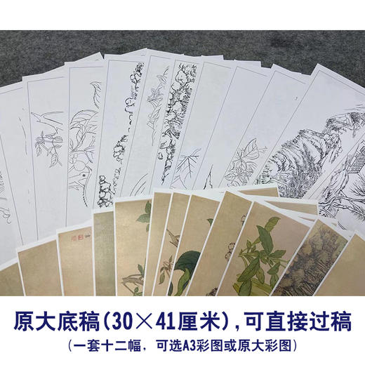 钱维城工笔画白描底稿山水花鸟册小品一套十二幅册页尺寸30*41厘米MT15 商品图3