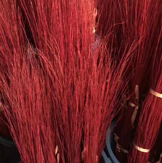进口-伊朗红柳（80CM） 商品图3