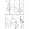 陈牧工笔画白描底稿四季花鸟图屏一套八幅册页尺寸41*138厘米MT24 商品缩略图4