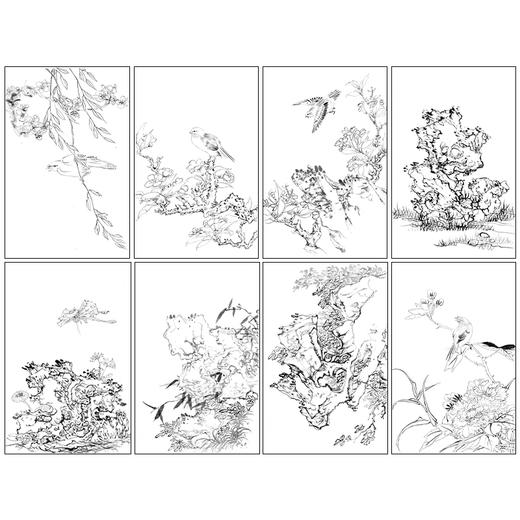 蓝瑛工笔画白描底稿花鸟图册小品一套十二幅册页尺寸30*46厘米MT04 商品图1