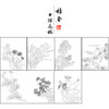 马元骏工笔花鸟画白描底稿花卉图册小品一套七幅册页初学者尺寸30*37厘米MT14 商品缩略图1
