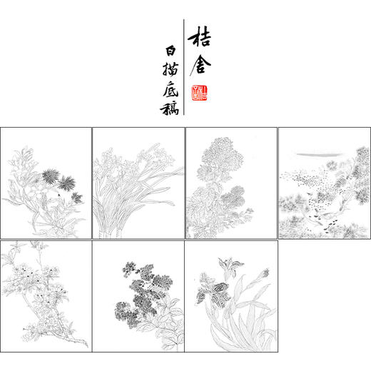 马元骏工笔花鸟画白描底稿花卉图册小品一套七幅册页初学者尺寸30*37厘米MT14 商品图1