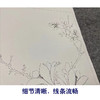 吴玖工笔花鸟画白描底稿花卉图册小品一套七幅册页初学者尺寸37*40厘米MT16 商品缩略图4